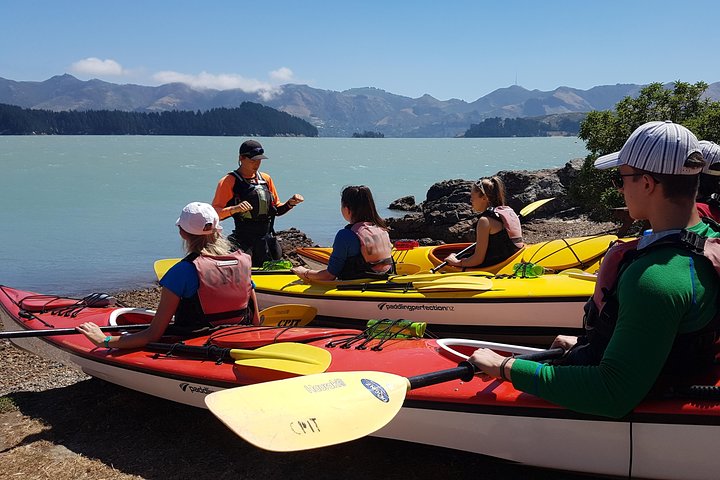 Sea Kayaking Christchurch, Lyttelton Harbour & Quail Island - Image 2