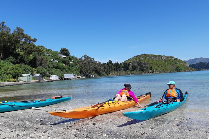 Sea Kayaking Christchurch, Lyttelton Harbour & Quail Island - Image 5