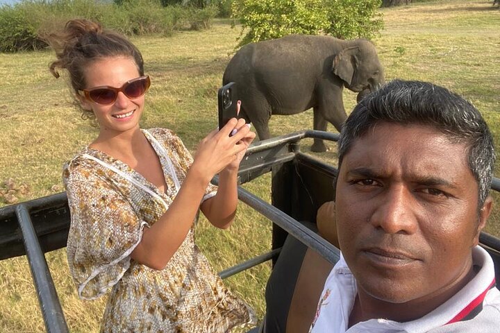 02 Days Fascinating Experience Sigiriya, Safari, Dambulla, Kandy  - Image 3