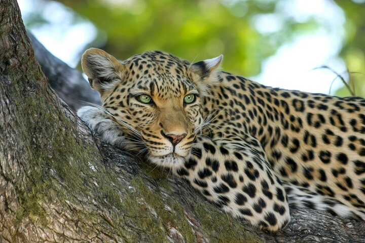 08 Days Luxury Tour  - Image 5