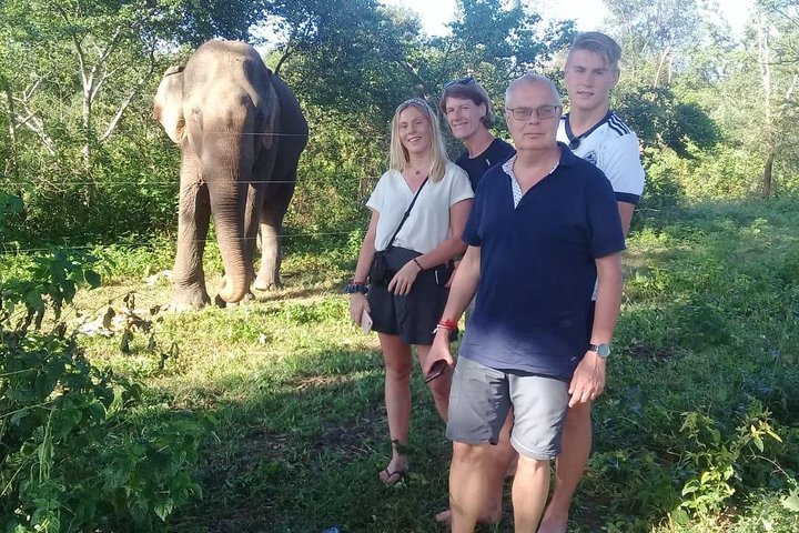 08 Nights in Magical Sri Lanka - Image 5