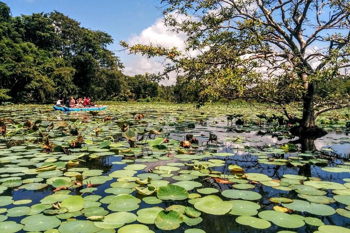 10 Days Tour in Sri Lanka Hotels with Breakfast  - Image 2