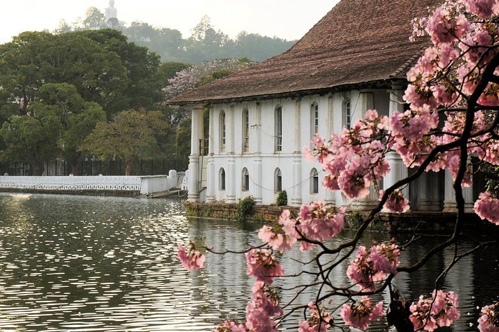 10 Days Tour in Sri Lanka Hotels with Breakfast  - Image 3