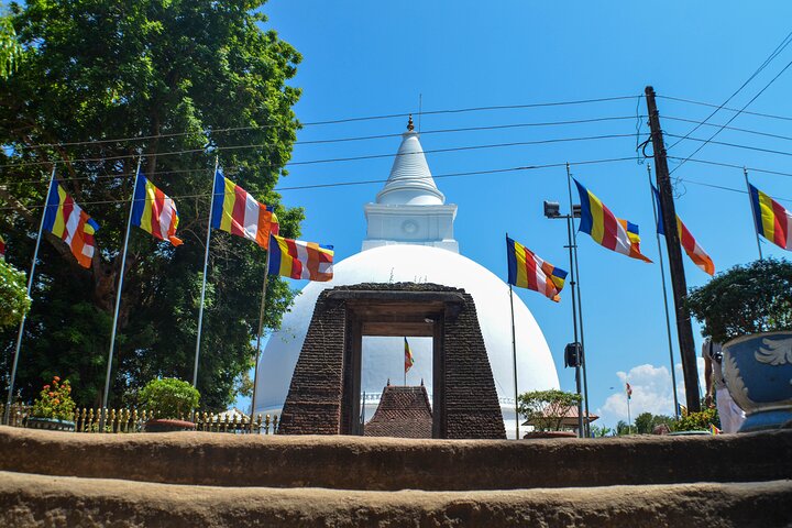 10 Days Tour In Sri Lanka - Introduction to the Magical Island. - Image 5