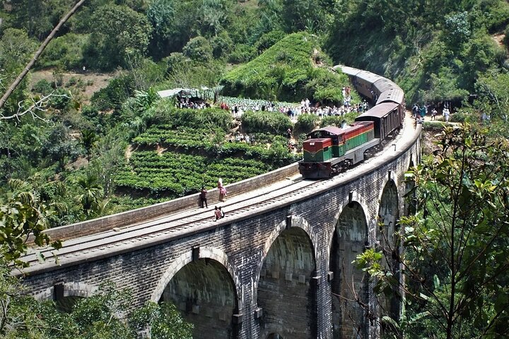 12-Days Adventure Tour in Sri Lanka - Image 5