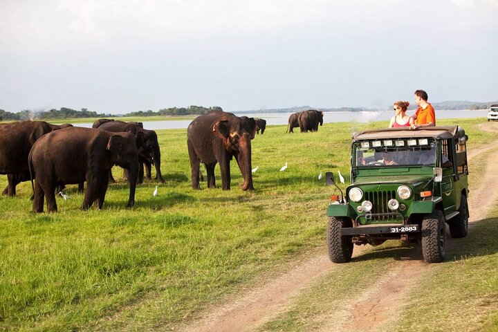 12 Days;Semi-luxury Holiday In Sri Lanka - Image 5