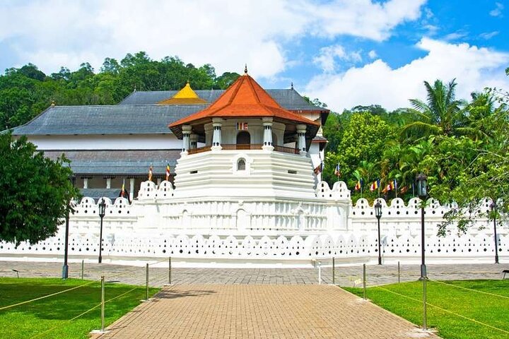 14 Days Tour in Sri Lanka - Fortnight Expedition with Luxury Hotels - Image 4