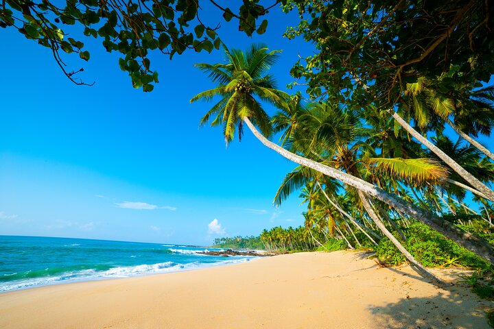 14 Days Tour in Sri Lanka - Fortnight Expedition with Luxury Hotels - Image 2