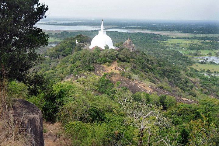 14-nights/15-days Sri Lanka round tour by car - with Nilaveli Beach - Image 2