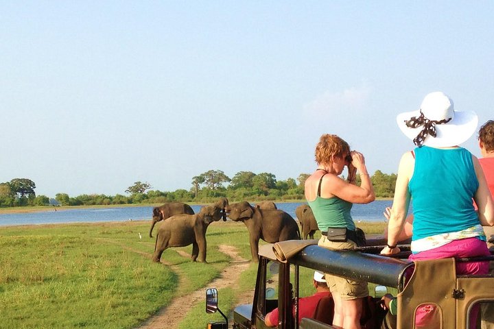 2 Day Tour to Galle & Udawalawe from Colombo - Image 3