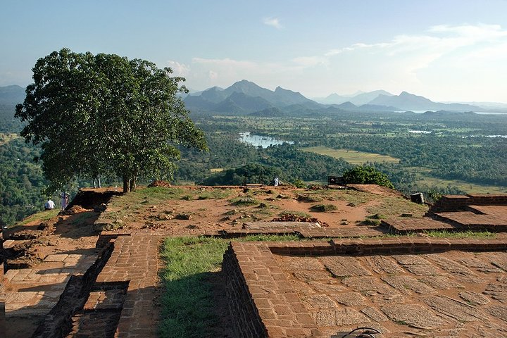 2-days Transfer from Colombo to Trincomalee or Nilaveli - Sightseeing Tour - Image 1