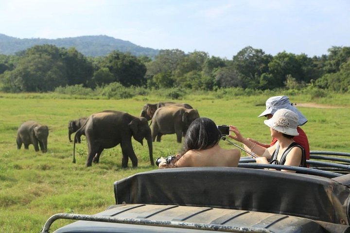 3 Days Glimpse of Sri Lanka - Image 1