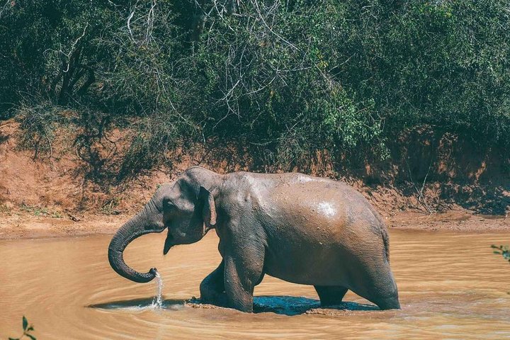 3 Days Honeymoon Glamping Tour - Image 2