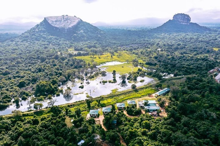 3 Days Tour to Kandy Nuwara Eliya & Sigiriya from Colombo - Image 4
