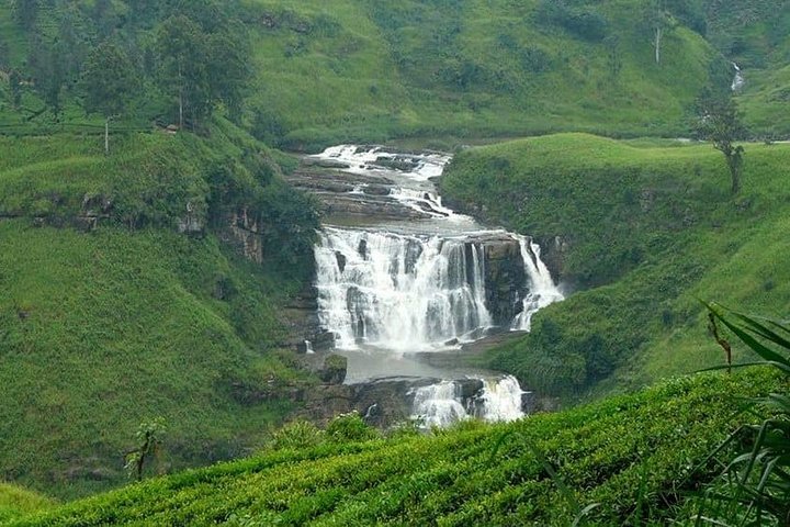 3 Days Tour to Kandy Nuwara Eliya & Sigiriya from Colombo - Image 2
