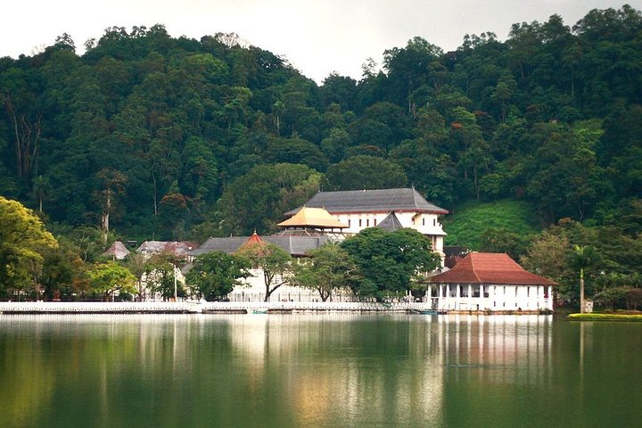 3 Days Tour to Kandy Nuwara Eliya & Sigiriya from Colombo - Image 3