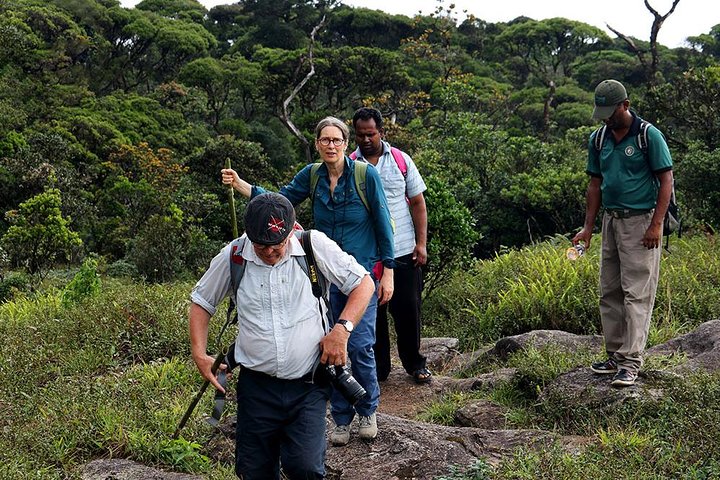 6-Day Central Highlands UNESCO World Heritage Adventure Tour - Image 1
