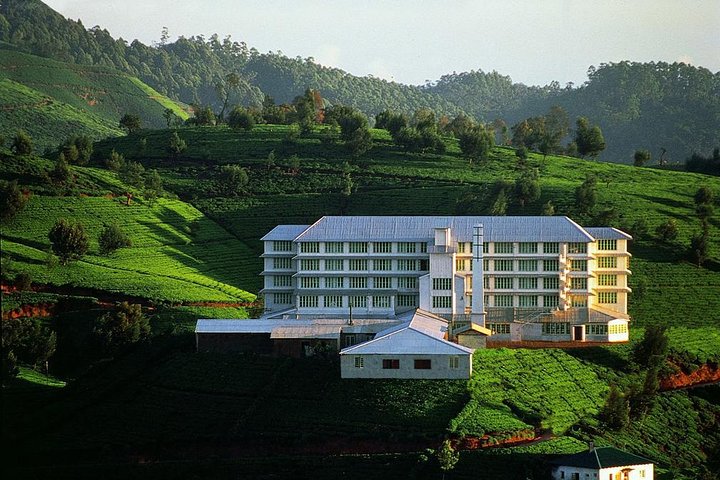 6 Day Round Tour in Sri Lanka With Chauffeur - Image 3
