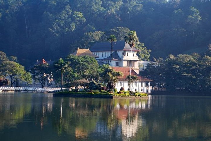 6-Day Sri Lanka Private Tour - Image 2