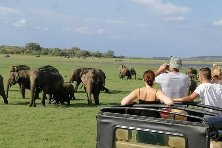 7 Days Private Tour in Sri Lanka Cultural Triangle - Image 3