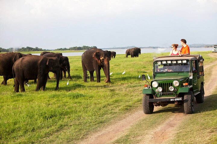7 Days Private Tour in Sri Lanka Cultural Triangle - Image 5