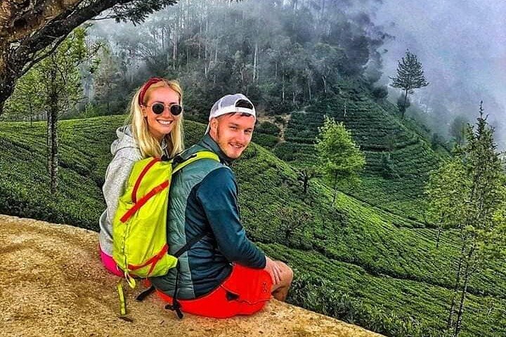 8 Days Tour Sigiriya,Kaudulla Wild Safari,Kandy,Ella,Miissa Beach - Image 2