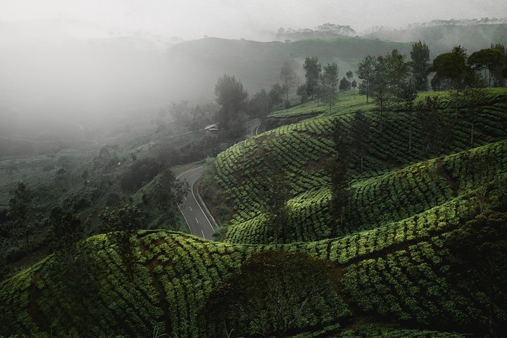 9 Days Sri Lanka Magical Paradise Tour - Image 4