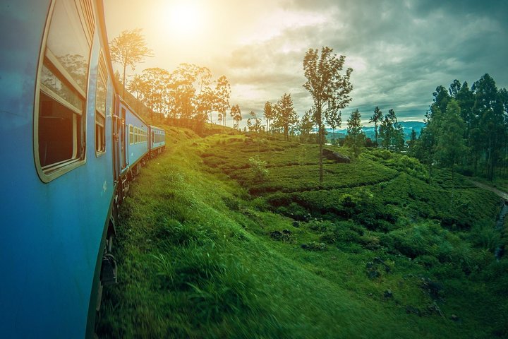 9 Days Sri Lanka Magical Paradise Tour - Image 5