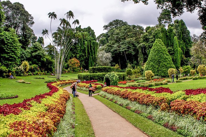 Adventures of the Last Kingdom of Sri Lanka - Image 4