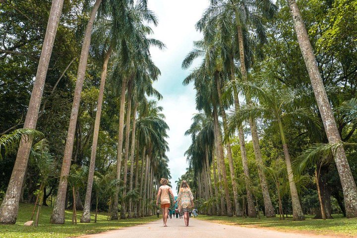 Adventures of the Last Kingdom of Sri Lanka - Image 3