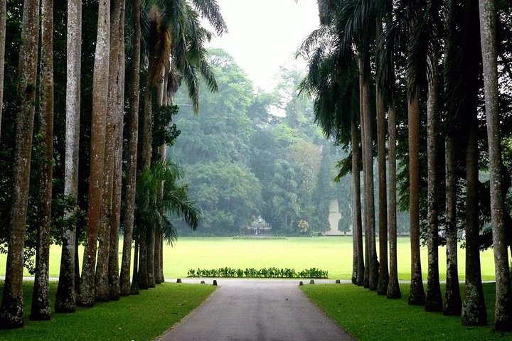Adventures of the Last Kingdom of Sri Lanka - Image 5