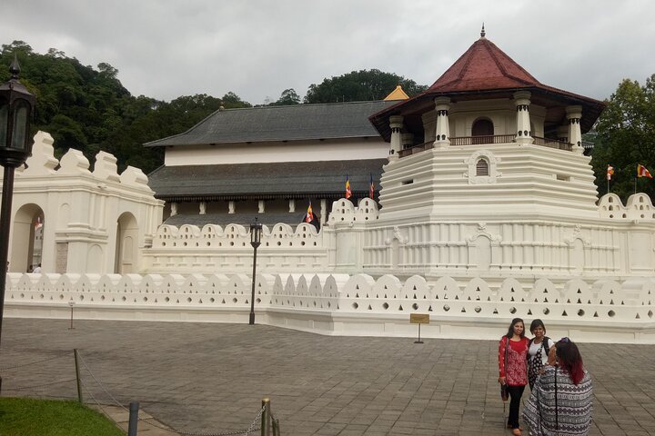 Airport Colombo and Negombo to Pinnawala and kandy - Image 3