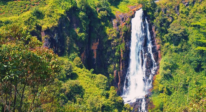 All in one Sri lanka 7nights 8 days for couple price  - Image 4