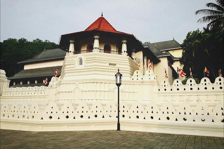 All in one Sri lanka 7nights 8 days for couple price  - Image 5