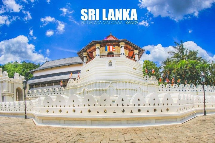 All Inclusive 4-Day Tour to Kandy,Nuwara Eliya,Sigiri Dambulla&Polonnaruwa - Image 2