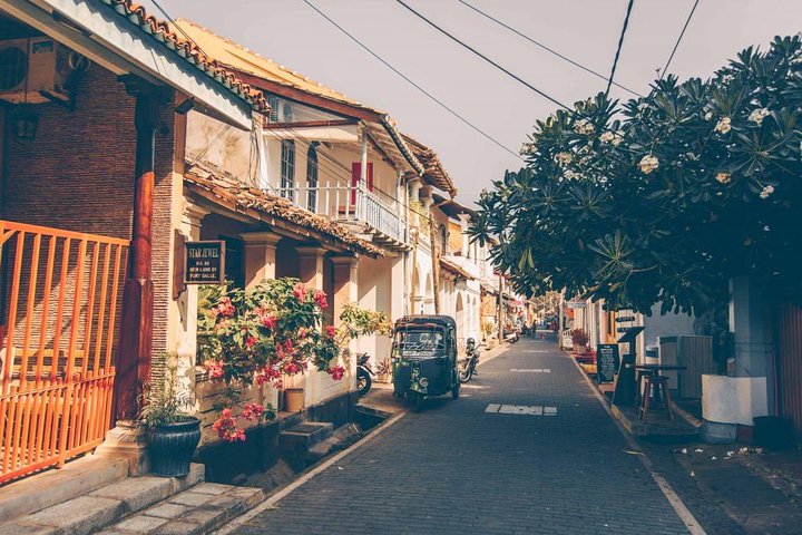 All Inclusive Galle Day Tour from Colombo & Negombo - Image 2