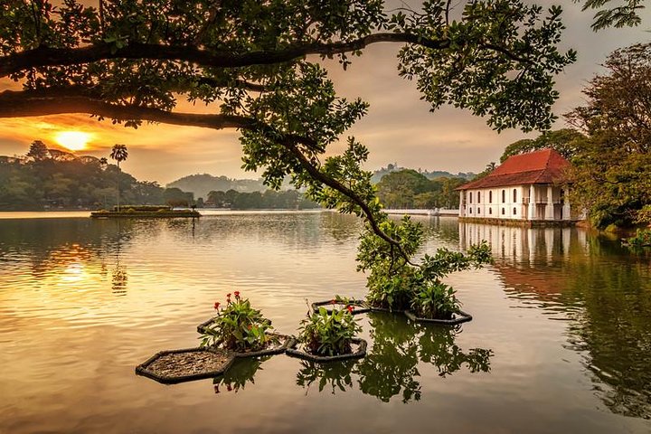 All Inclusive Kandy Day Tour from Colombo & Negombo - Image 2