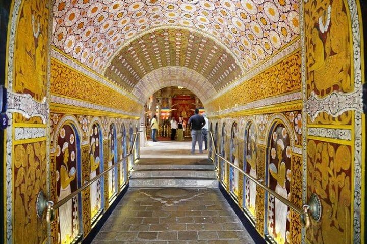All Inclusive Kandy Day Tour from Colombo & Negombo - Image 3