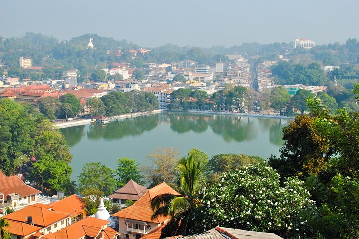 All Inclusive Kandy Day Tour from Colombo & Negombo - Image 5