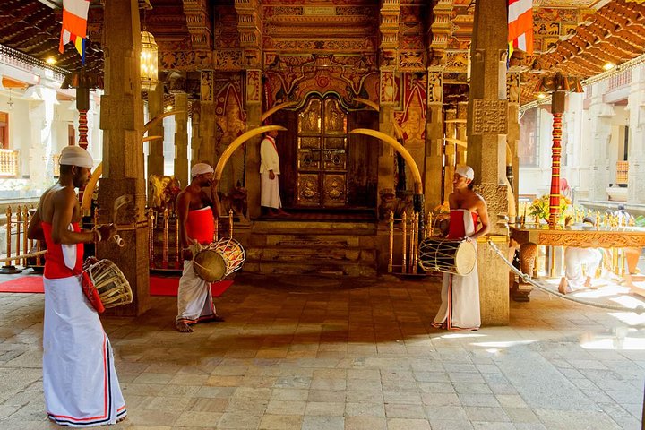 All Inclusive Kandy Day Tour from Colombo & Negombo - Image 4
