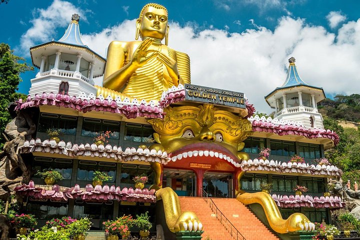 All Inclusive Sigiriya & Dambulla Day Tour from Colombo & Negombo - Image 5