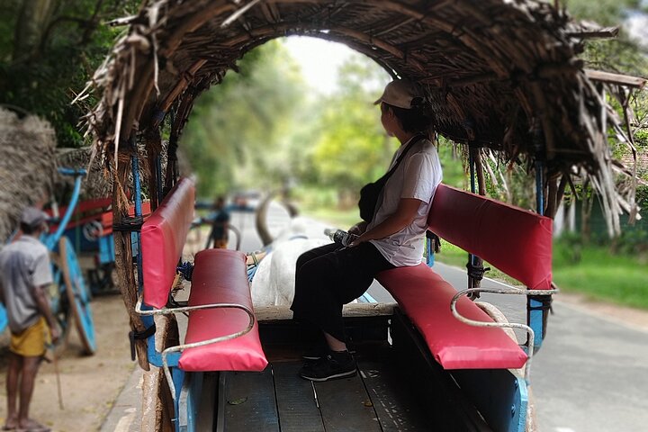 All Inclusive Sigiriya Rock Fortress & Dambulla Cave Temple Tour - Image 5