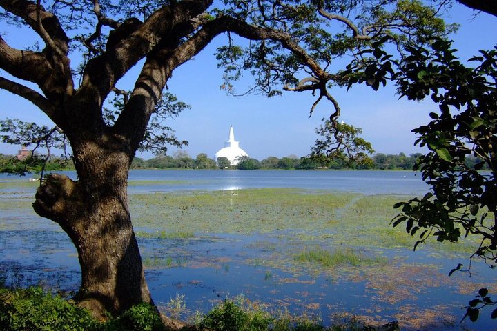 Anuradhapura Private Day Trip from Colombo, Negombo, or Katunayaka - Image 1