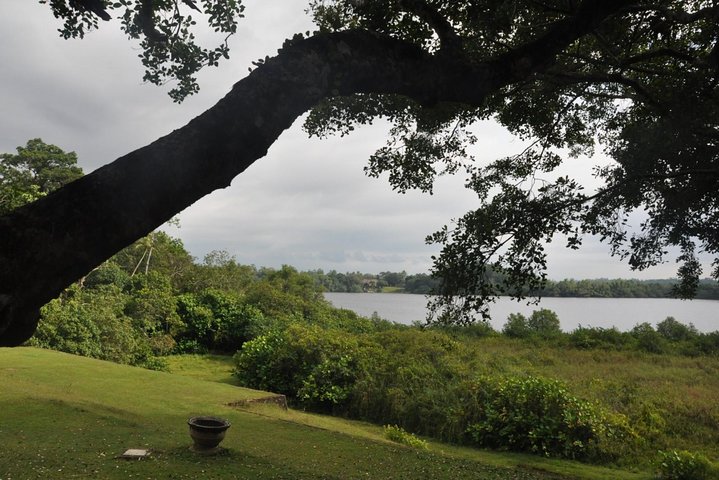 Bentota City Tour from Colombo Port - Image 4