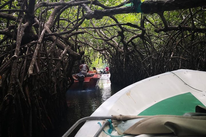 Bentota City Tour from Colombo Port - Image 1
