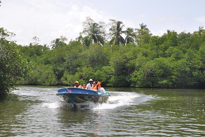 Bentota City Tour from Colombo Port - Image 5