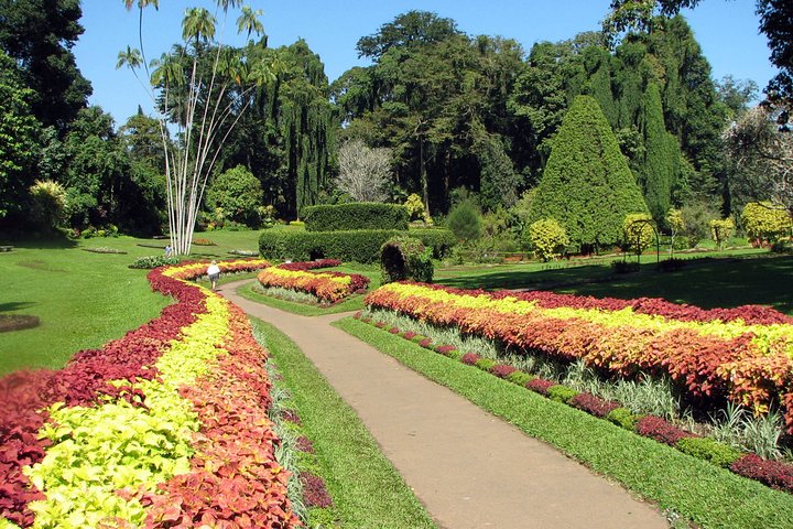Ceylon Backpacker Tour - 3N/4D - Image 5