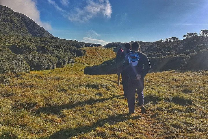 Chariot Path Hiking  - Image 1