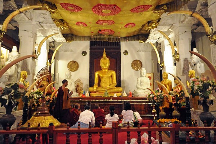 Child-oriented Family tour in Sri Lanka & Beach Holidays - by Minivan - 2 weeks - Image 5