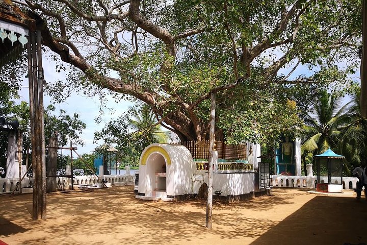 Coastal Ride to Galle from Colombo Port - Image 5